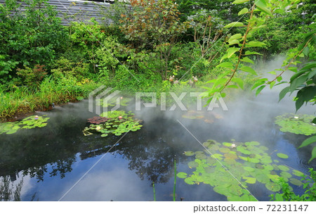 西武池袋空中花園“食物與綠色空中花園”睡蓮花園 72231147