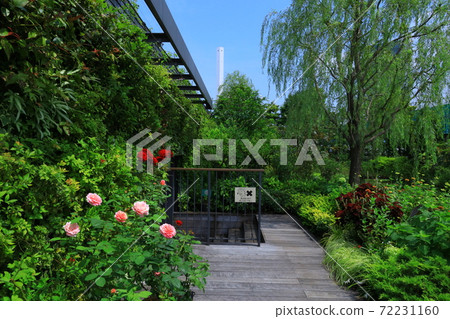 西武池袋空中花園“食物與綠色空中花園”睡蓮花園 72231160