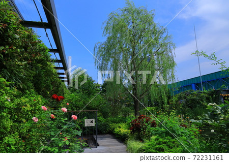 西武池袋空中花園“食物與綠色空中花園”睡蓮花園 72231161