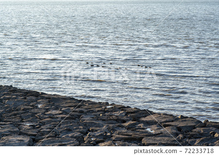 仁川松島 72233718