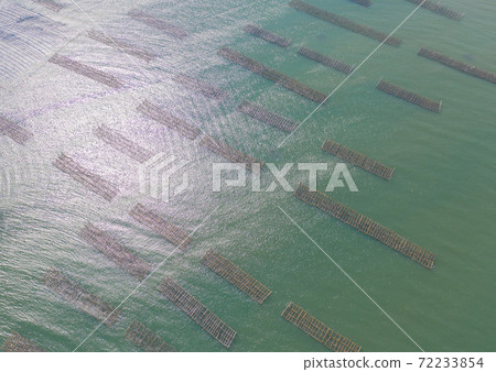 Aerial view of aquaculture nets for fish farm in a lake in Sri Racha, Chonburi, Thailand. tropical beach, Andaman sea, bay island. Top view. Aerial view of aquaculture nets for fish farm in a lake in Sri Racha, Chonburi, Thailand. tropical beach, Andaman sea, bay island. Top view. 72233854