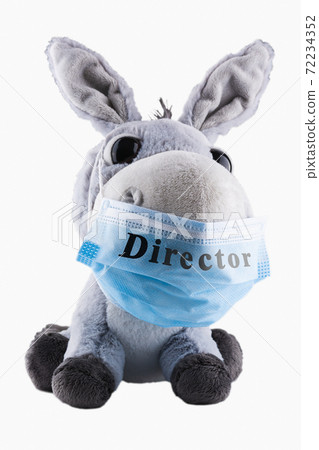 Director donkey in a medical mask. Humor. Mockery. Soft toy on a white background. Isolate. Director donkey in a medical mask. Humor. Mockery. Soft toy on a white background. Isolate. 72234352