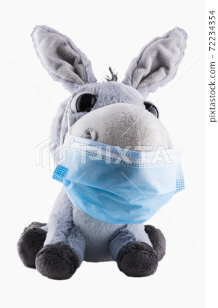 A donkey in a medical mask. Soft toy on a white background. Isolate. A donkey in a medical mask. Soft toy on a white background. Isolate. 72234354