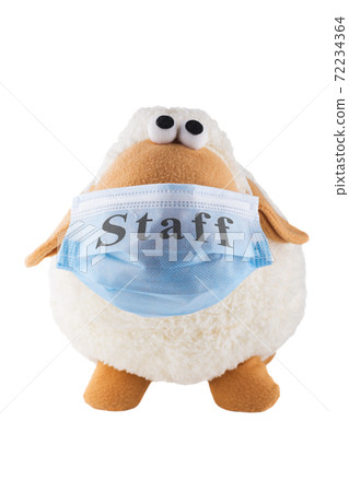 A soft toy sheep in a medical mask with the words staff. White background. Humor. Mockery. Isolate. A soft toy sheep in a medical mask with the words staff. White background. Humor. Mockery. Isolate. 72234364