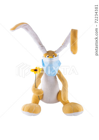 Cute soft toy hare with a flower and in a medical mask on a white background. Isolate. Cute soft toy hare with a flower and in a medical mask on a white background. Isolate. 72234381