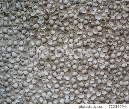 英國英國殼傳統牆紋理 英國英國殼傳統牆紋理 72234694