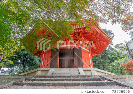 Tofukuji 72236996