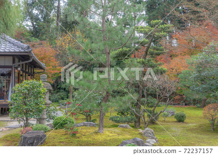 Tofukuji 72237157