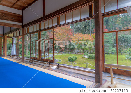 東福寺 東福寺 72237163