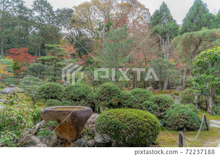 Tofukuji 72237188