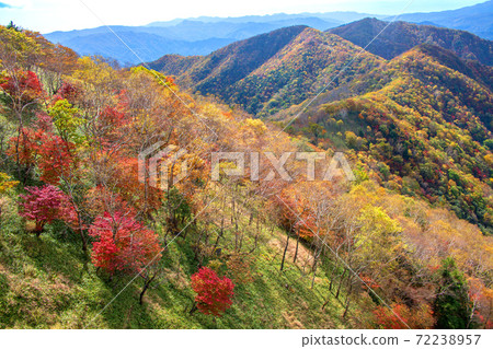 View from Nikko Half Moon Pass No. 2 Parking Lot Autumn leaves scenery Autumn scenery View from Nikko Half Moon Pass No. 2 Parking Lot Autumn leaves scenery Autumn scenery 72238957