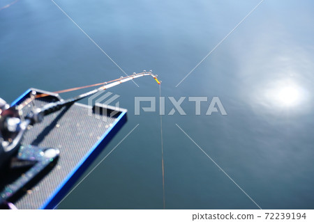 Fishing fish Fishing fish 72239194