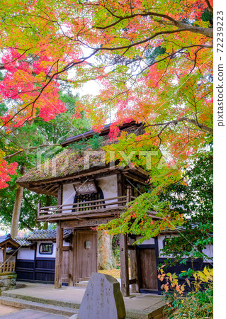 Thatched-roof gate and autumn leaves (vertical) Thatched-roof gate and autumn leaves (vertical) 72239223