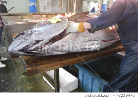 從Oma拆除此金槍魚並競標金槍魚。 72239476