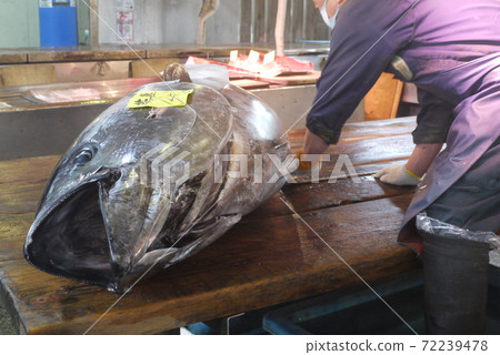 從Oma拆除此金槍魚並競標金槍魚。 72239478