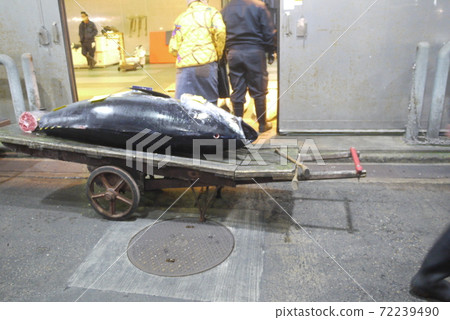 Dismantling of Oma bluefin tuna and tuna auction. 72239490