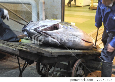 從Oma拆除此金槍魚並競標金槍魚。 72239492
