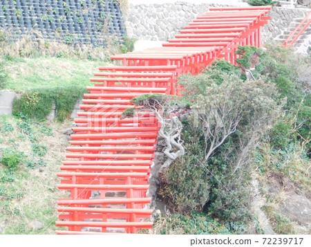 A large number of torii gates at Motonosumi Shrine 72239717