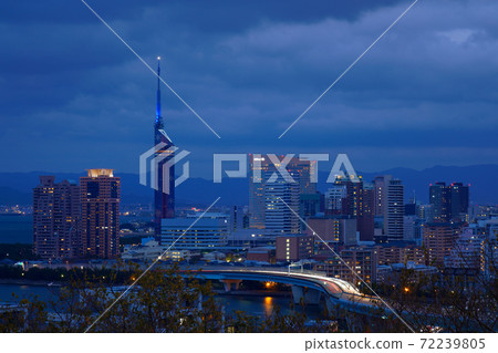 Night view of Fukuoka Tower at dusk from Atago Shrine Night view of Fukuoka Tower at dusk from Atago Shrine 72239805