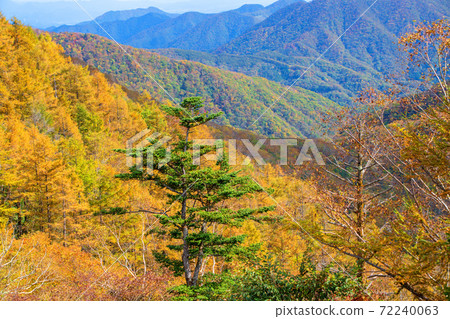 日光半月口2號停車場的景色秋葉風景秋風景 72240063