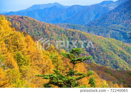 日光半月口2號停車場的景色秋葉風景秋風景 日光半月口2號停車場的景色秋葉風景秋風景 72240065