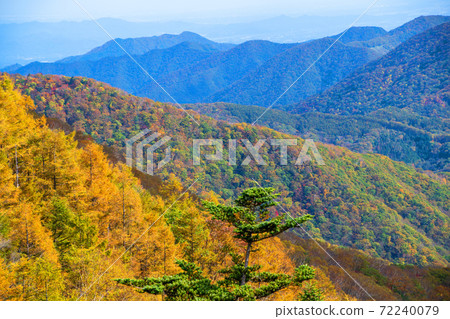 日光半月口2號停車場的景色秋葉風景秋風景 日光半月口2號停車場的景色秋葉風景秋風景 72240079