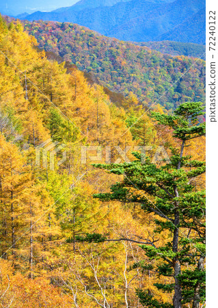 View from Nikko Half Moon Pass No. 2 Parking Lot Autumn leaves scenery Autumn scenery View from Nikko Half Moon Pass No. 2 Parking Lot Autumn leaves scenery Autumn scenery 72240122