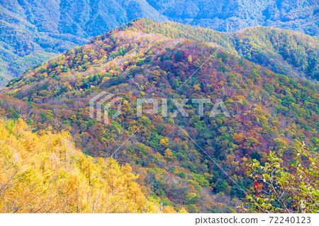 日光半月口2號停車場的景色秋葉風景秋風景 日光半月口2號停車場的景色秋葉風景秋風景 72240123