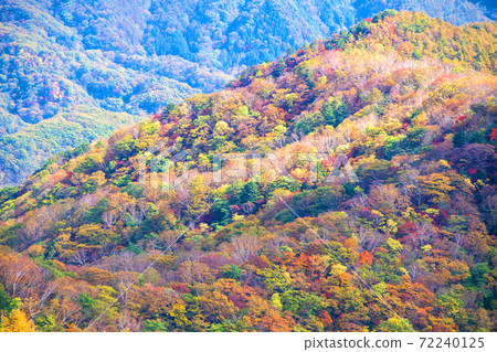 日光半月口2號停車場的景色秋葉風景秋風景 日光半月口2號停車場的景色秋葉風景秋風景 72240125