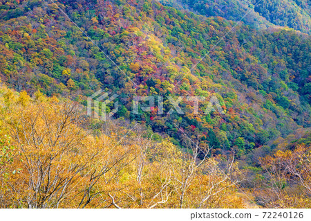 日光半月口2號停車場的景色秋葉風景秋風景 日光半月口2號停車場的景色秋葉風景秋風景 72240126