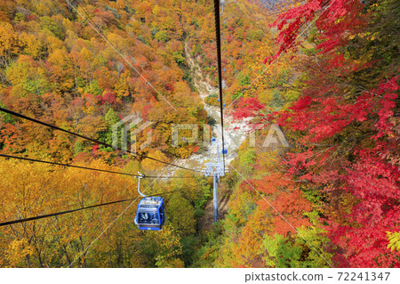 Naeba Plateau Autumn from Dragondola 72241347