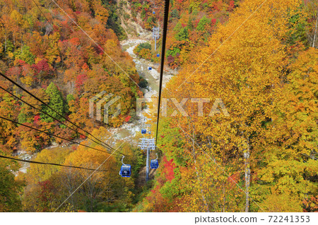 Naeba Plateau Autumn from Dragondola 72241353