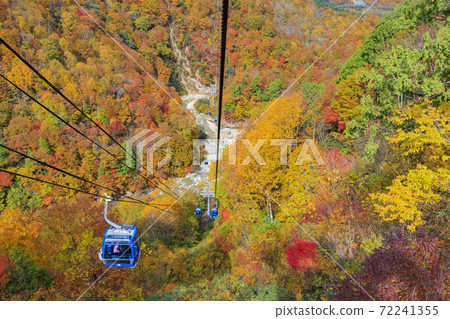 《龍多拉》的苗場高原秋 72241355