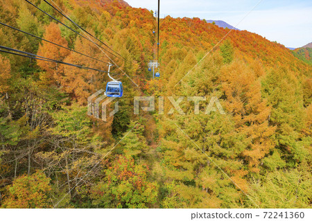 Naeba Plateau Autumn from Dragondola Naeba Plateau Autumn from Dragondola 72241360