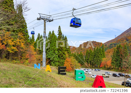 Naeba Plateau Autumn from Dragondola 72241396