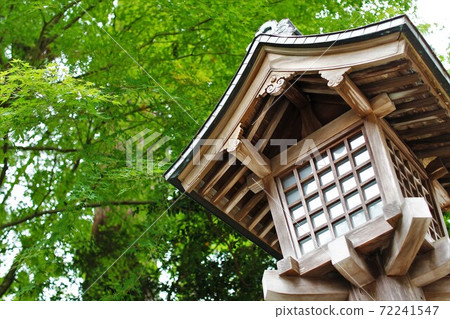 燈籠和綠色 72241547