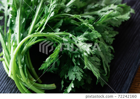 Mild garland chrysanthemum Mild garland chrysanthemum 72242160