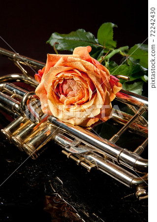Rose And Trumpet 72242430