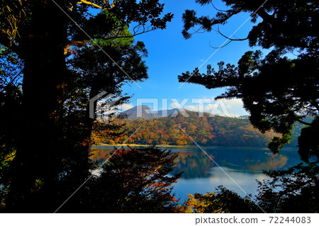 The beautiful autumn colors of Kirishima in the depths of the forest The beautiful autumn colors of Kirishima in the depths of the forest 72244083