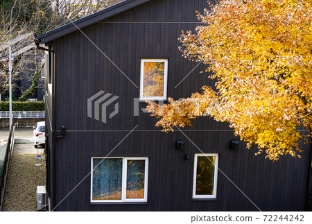 剩余秋季/晴天 72244242