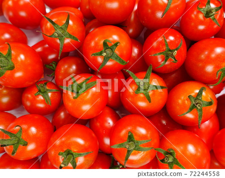 番茄迷你番茄 72244558