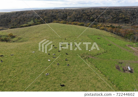 Aerial view of the ranch along the Atsugi Hamanaka Line 72244602