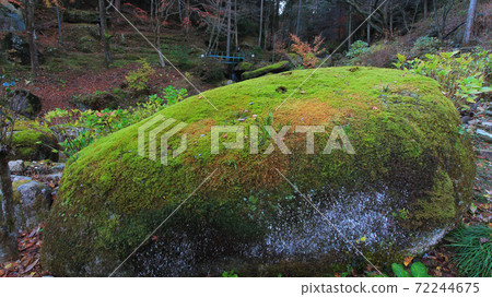 Oniiwa Park Moss Rock Gifu Prefecture Oniiwa Park Moss Rock Gifu Prefecture 72244675