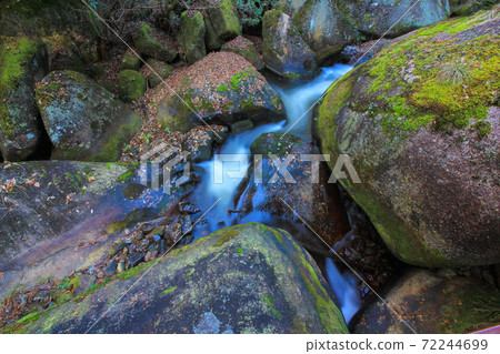 Oniiwa Park Moss Rock Gifu Prefecture 72244699