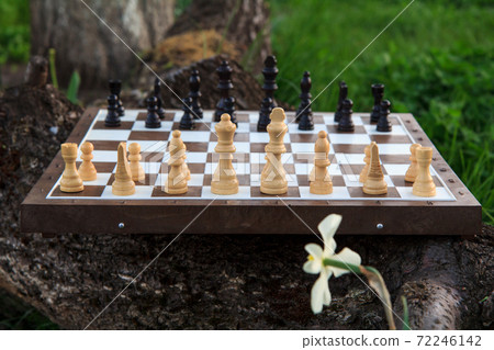 Chess board with chess pieces on tree trunk and green grass. 72246142