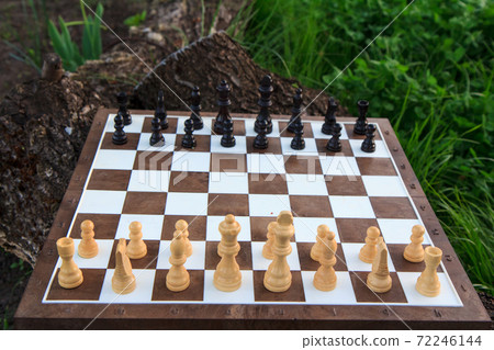 Chess board with chess pieces on tree trunk and green grass. 72246144