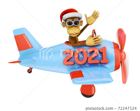 monkey in airplane 2021 72247124