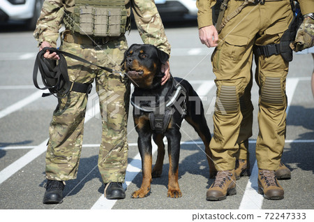 are rottweilers allowed in military