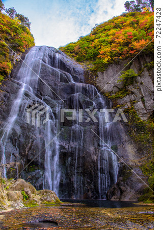 100 selections of waterfalls in Japan: Autumn leaves of Yasu no Taki 72247428