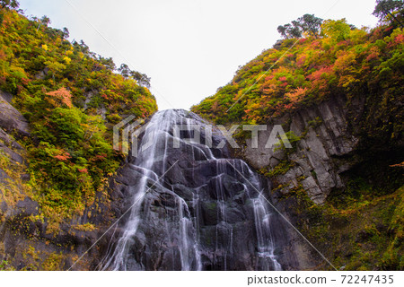 100 selections of waterfalls in Japan: Autumn leaves of Yasu no Taki 72247435